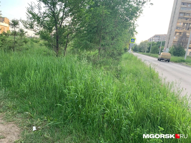 Источник: Полина Котышева / MGORSK.RU