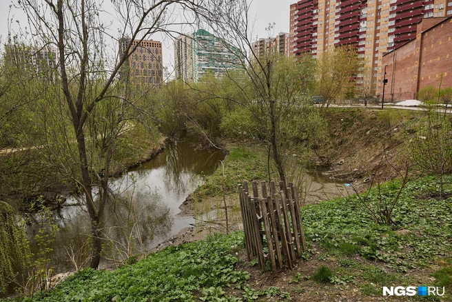 Каким по итогу получится парк, можно будет оценить позже, но уже сейчас очевидно, что от задумки авторов проекта отошли | Источник: Александр Ощепков / NGS.RU