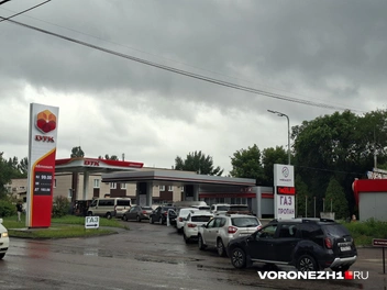 Цены сегодня… | Источник: Алёна Воропаева / Voronezh1.ru