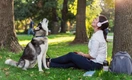 Упрямый мальчик: 5 пород собак с самым сложным характером