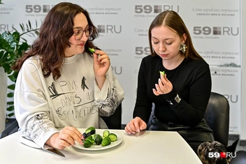Источник: Василина Любимова / 59.RU