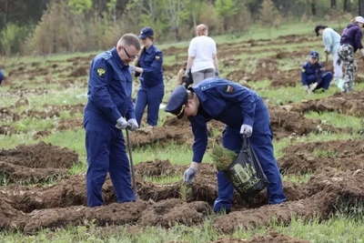 На Батарейной сопке в Чите высадили почти 4 тысячи сеянцев