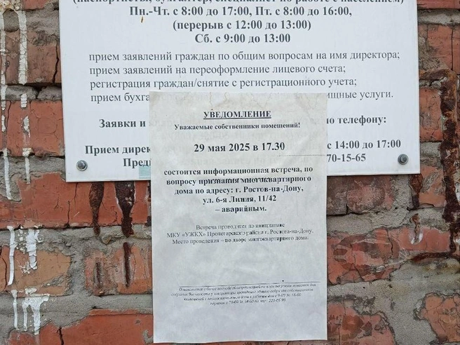 Источник: «Тютина» / Telegram.org