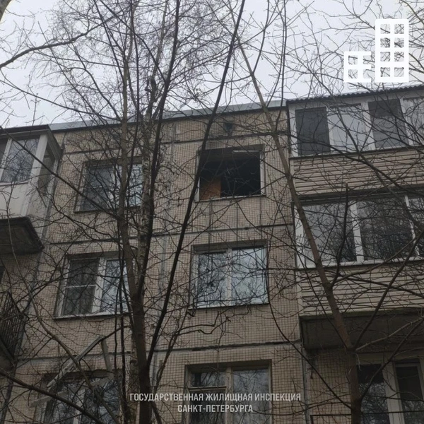 Источник: Государственная жилищная инспекция СПб