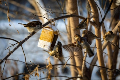 Челябинск ждут морозы после краткого потепления