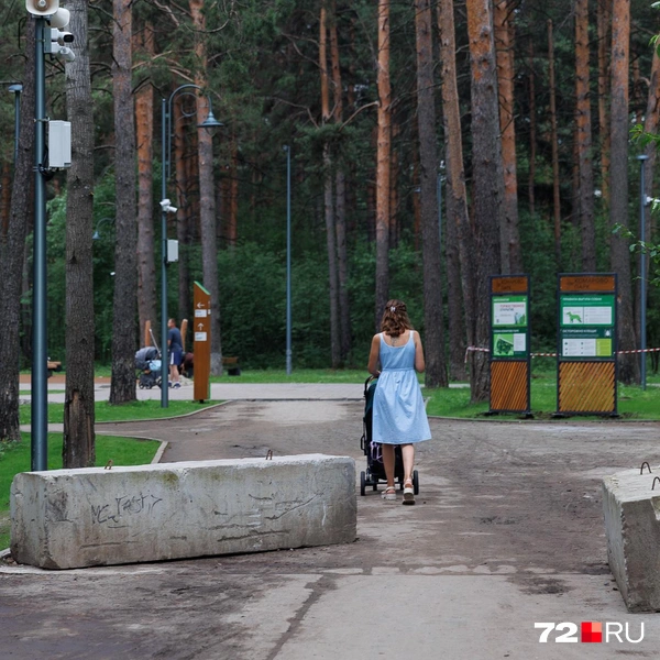 Источник: Ирина Шарова / 72.RU 