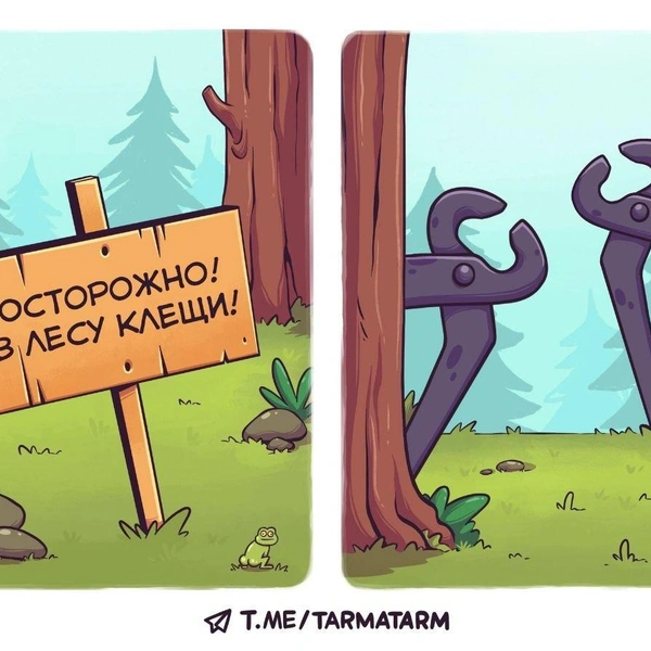 Источник: соцсети