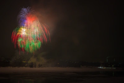 Новогодняя статистика полиции: задержания и звонки
