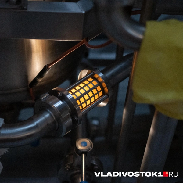 Источник: Елена Буйвол / VLADIVOSTOK1.RU