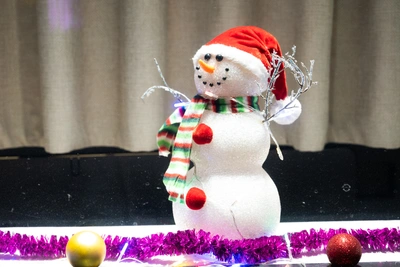 Ростовчане о новогодних каникулах: отдых, работа и гости