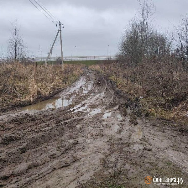 Источник: читатель «Фонтанки»