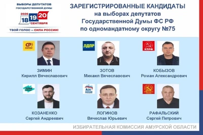Шесть кандидатов поборются за пост депутата Госдумы от Приамурья