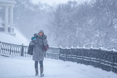 Employees Over 50 in High Demand in Yaroslavl Region