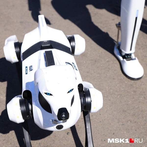 Источник: Татьяна Спиридонова / MSK1.RU