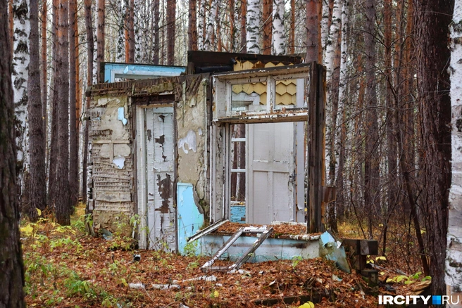 В лесах  | Источник: Алёна Кашпарова / «ИрСити»