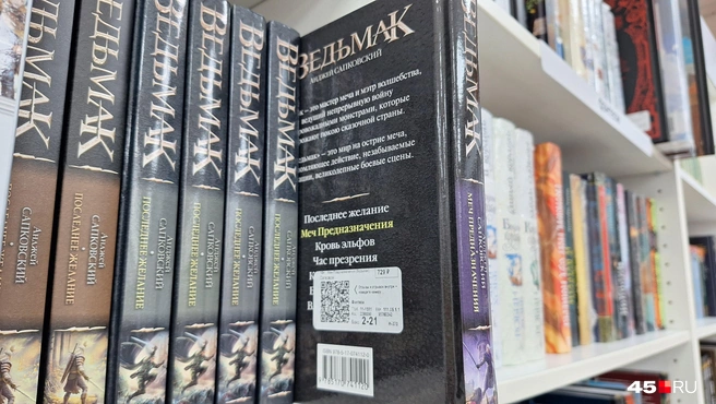 В магазине эта книга от другого издательства стоит дешевле, всего 729 рублей | Источник: Александр Лисихин / 45.RU 
