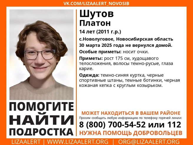Источник: «Поисковый отряд ЛизаАлерт Новосибирской области» / «ВКонтакте»