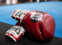 Женскую сборную Франции по боксу не допустили на чемпионат мира из-за гендерных тестов