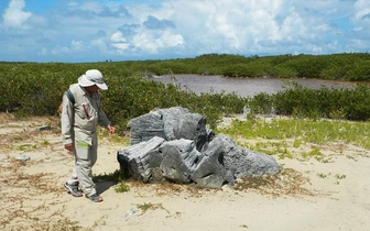 Ученые разгадали тайну выброшенных на берег коралловых валунов в Карибском море