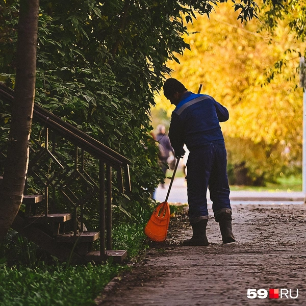 Дворники убирают опавшую листву с тротуаров | Источник: Василина Любимова / 59.RU