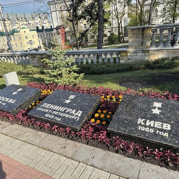 Источник: Дарья Гранкина / 26.RU 