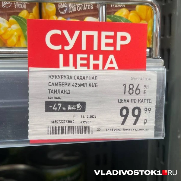 Источник: Елена Буйвол / VLADIVOSTOK1.RU