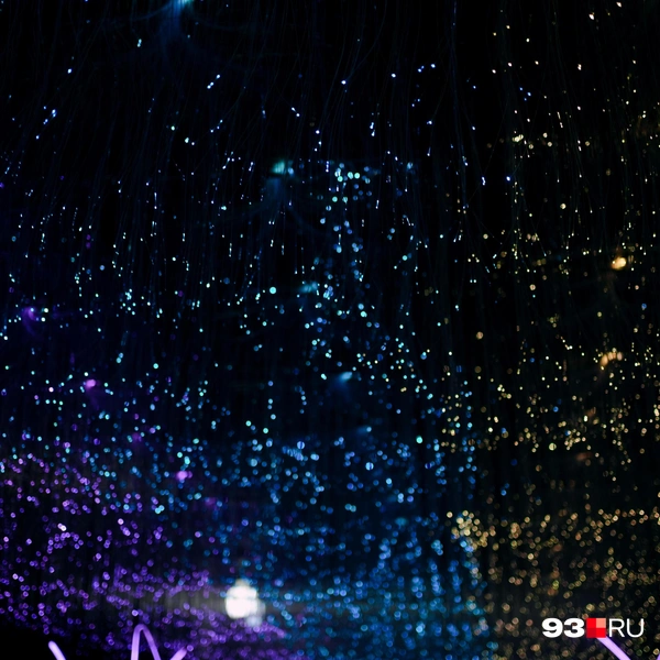 Цвета у этих диодов меняются | Источник: Дарья Паращенко / 93.RU