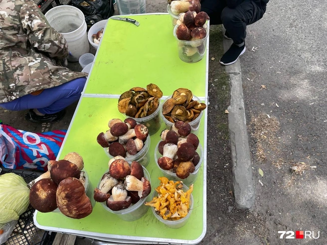 Вот здесь — по 700 рублей | Источник: Радик Енчу / 72.RU