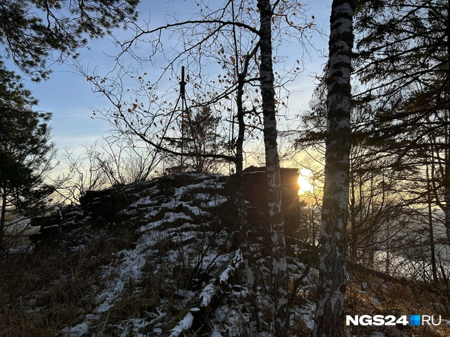 Ориентир в лесу | Источник: Алексей Тайганавт/ NGS24.RU
