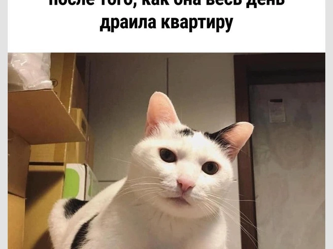 Грядет буря | Источник: Городские медиа
