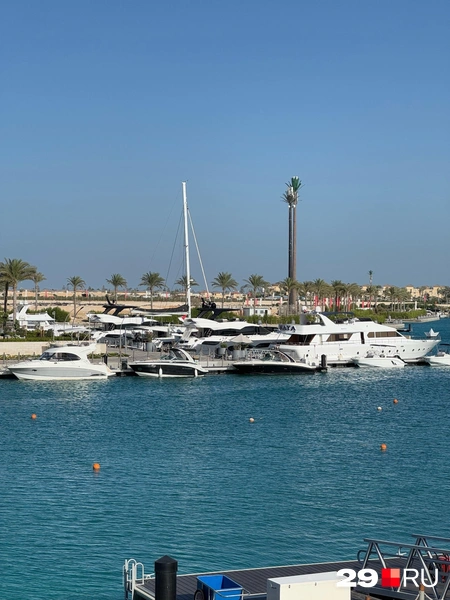 Источник: Валерия Богатырёва / 29.RU