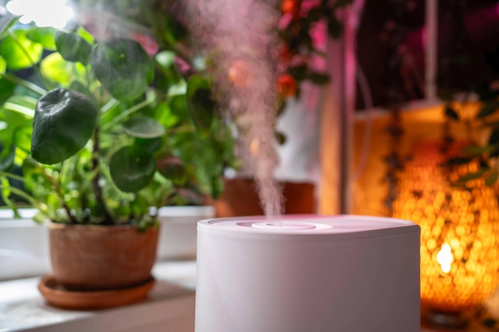 Источник: Legion Media