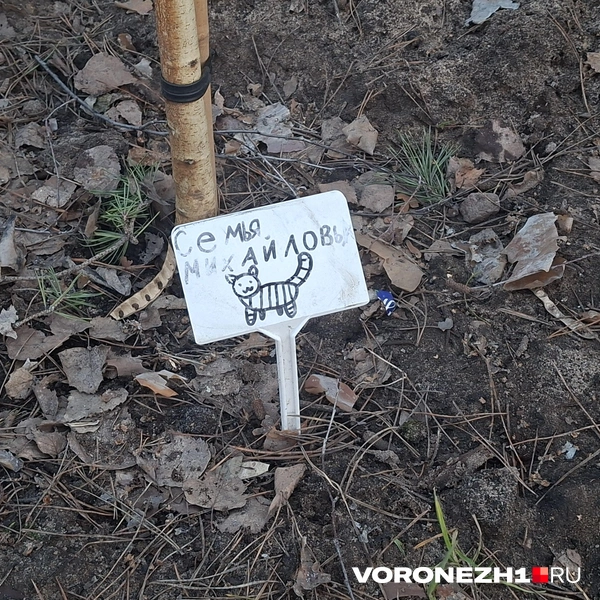 Источник: Алёна Воропаева / Voronezh1.ru