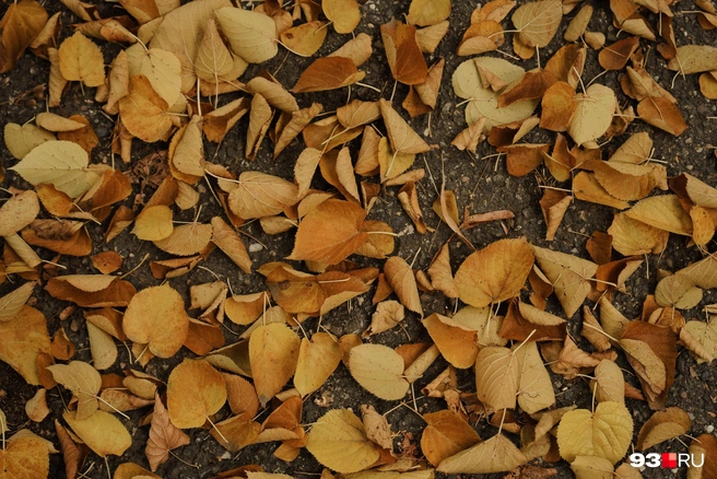 Что нельзя делать 6 октября?  | Источник: Дарья Паращенко / 93.RU