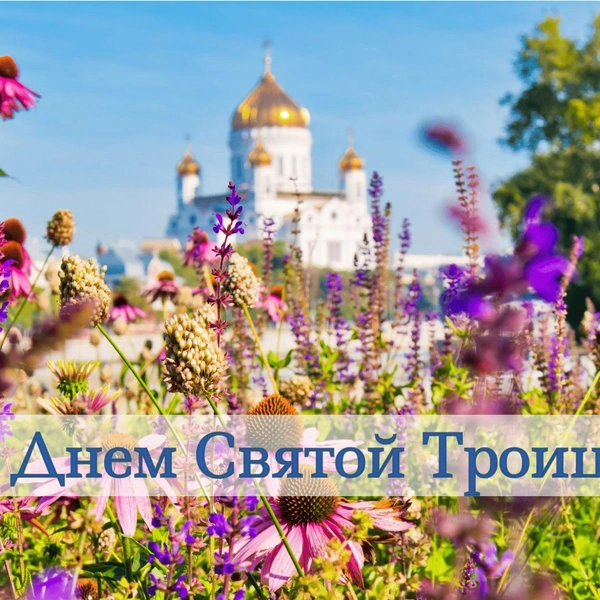 Источник: vokrugsveta.ru