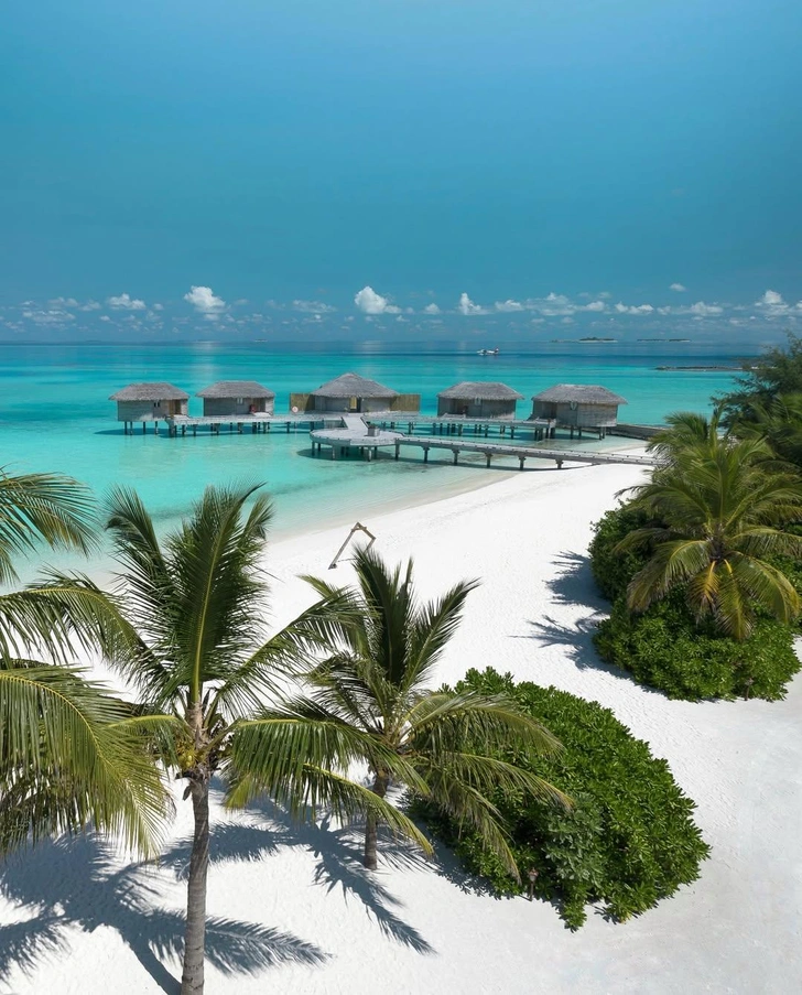 Источник: youandmemaldives.com