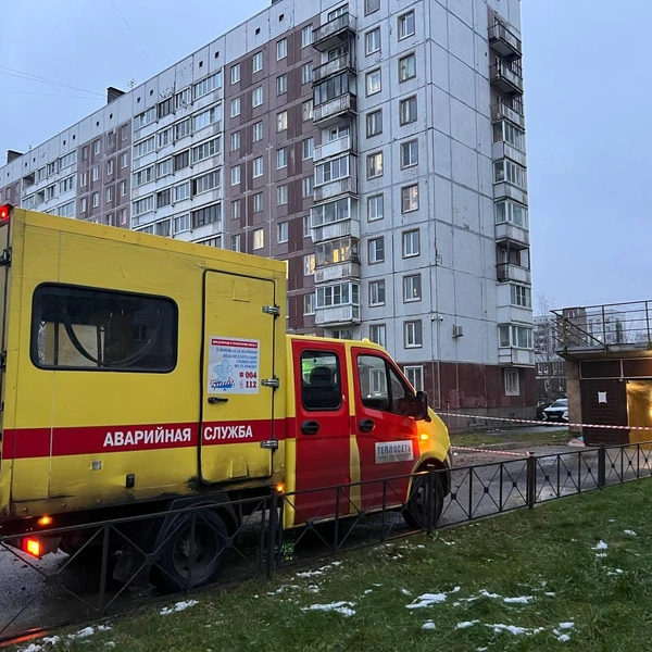 Источник: АО «Теплосеть Санкт-Петербурга»