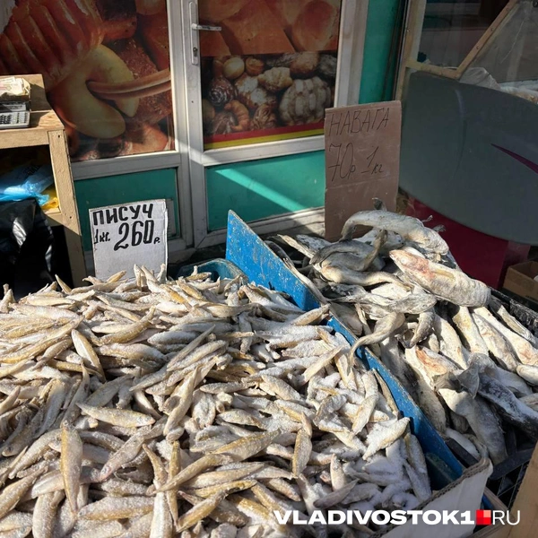Источник: Елена Буйвол / VLADIVOSTOK1.RU
