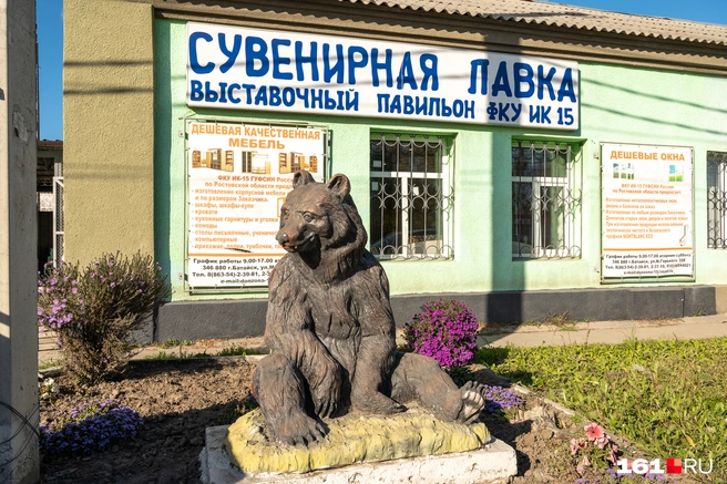 ИК-15 в Батайске | Источник: Евгений Вдовин / 161.RU