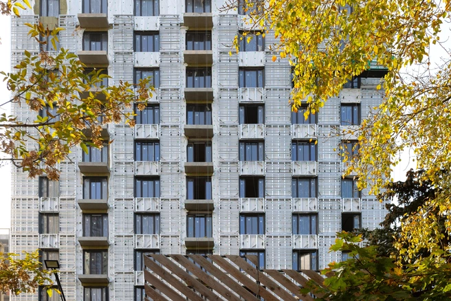 Источник: Брусника
