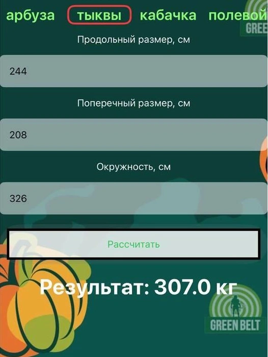 Рассчитывает в специальном приложении в телефоне | Источник: личный архив Марии Приймак