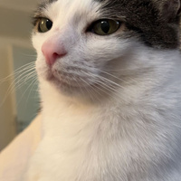 Аватарка Sofaaa