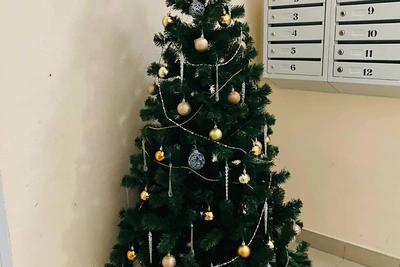 Похитители елки из волгоградского дома попали на камеры