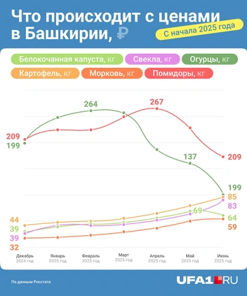 Источник: Серафима Пантыкина / Городские медиа
