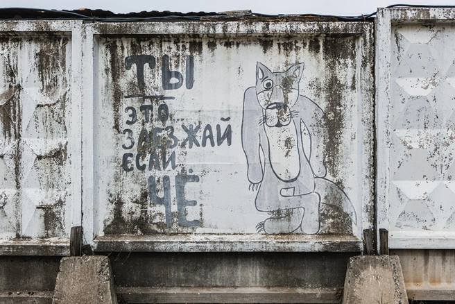 Волк из мультика выглядит в этих краях концептуально | Источник: Тимофей Калмаков / 59.RU