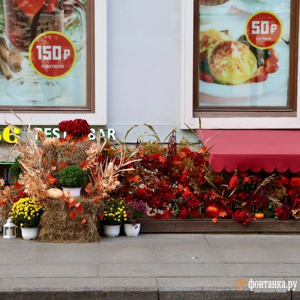Источник: Марина Мамонтова / FONTANKA.RU