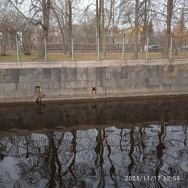 «Два мокрых дела»: в «Кошкиспас» рассказали о спасении любопытных котов в Кронштадте | Источник: Кошкиспас