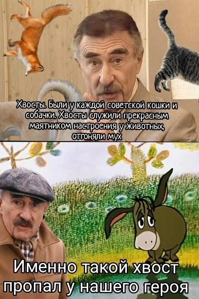 Источник: Соцсети