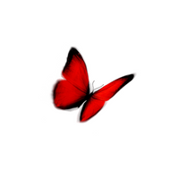 Аватарка butterfly