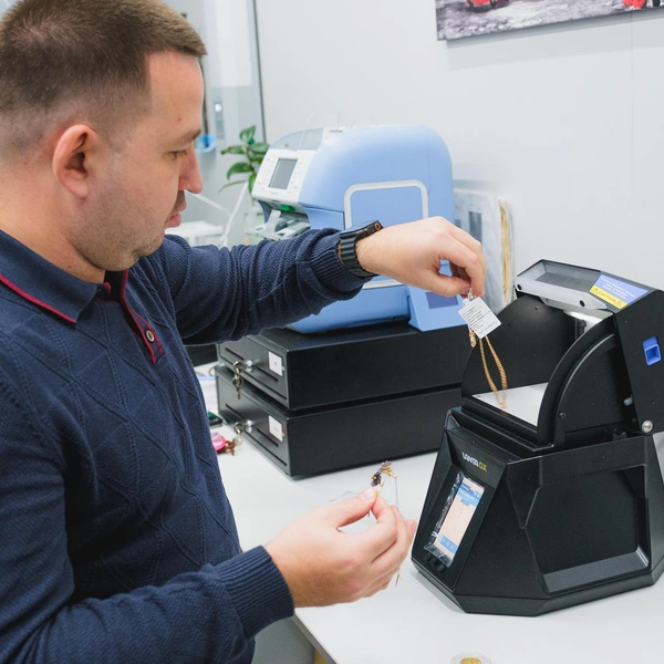 Источник: Тимофей Калмаков